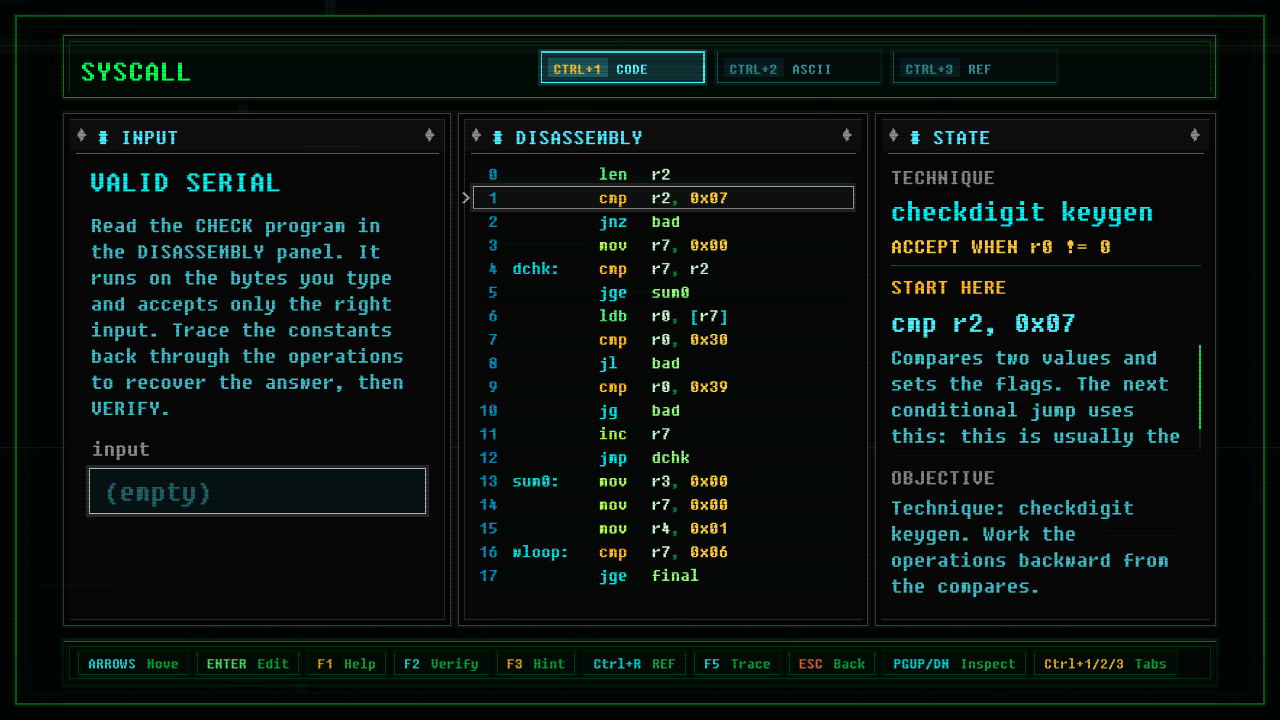 In-game screenshot of VALID SERIAL